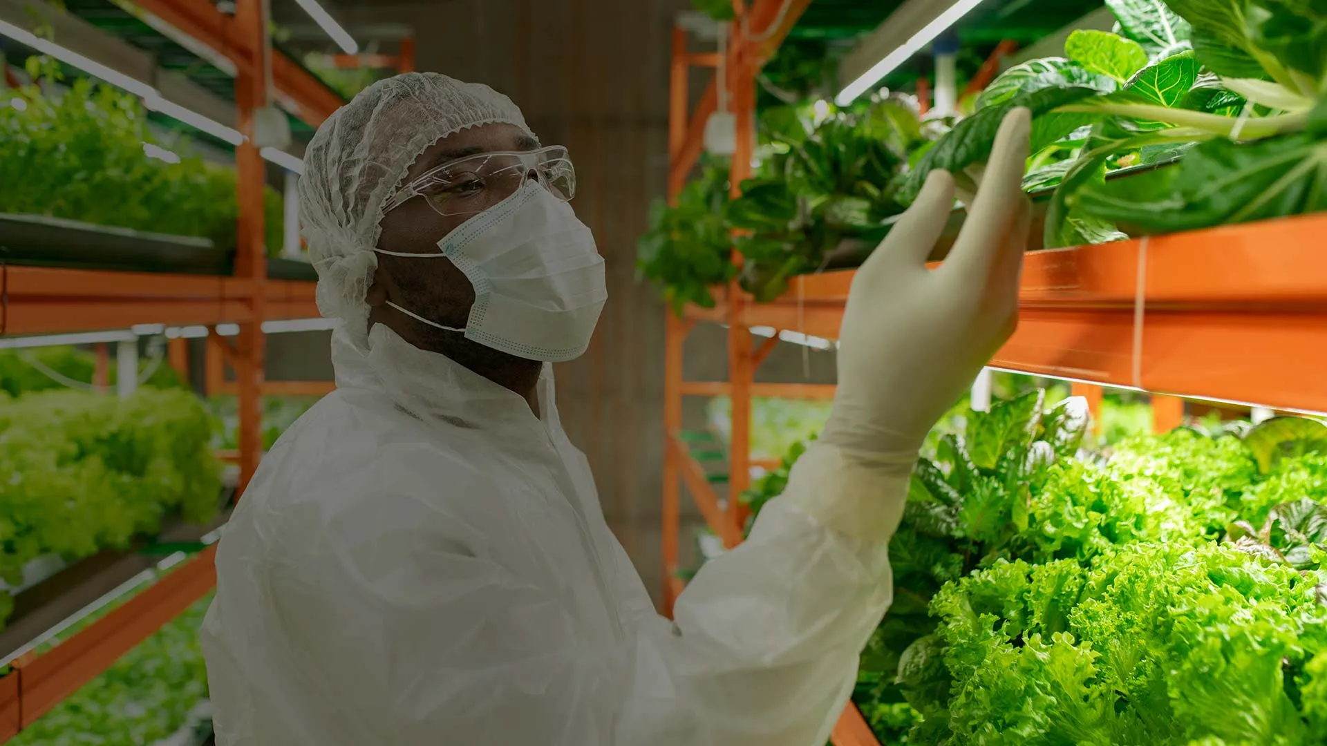 EcoPest senior auditor walking a food processing facility