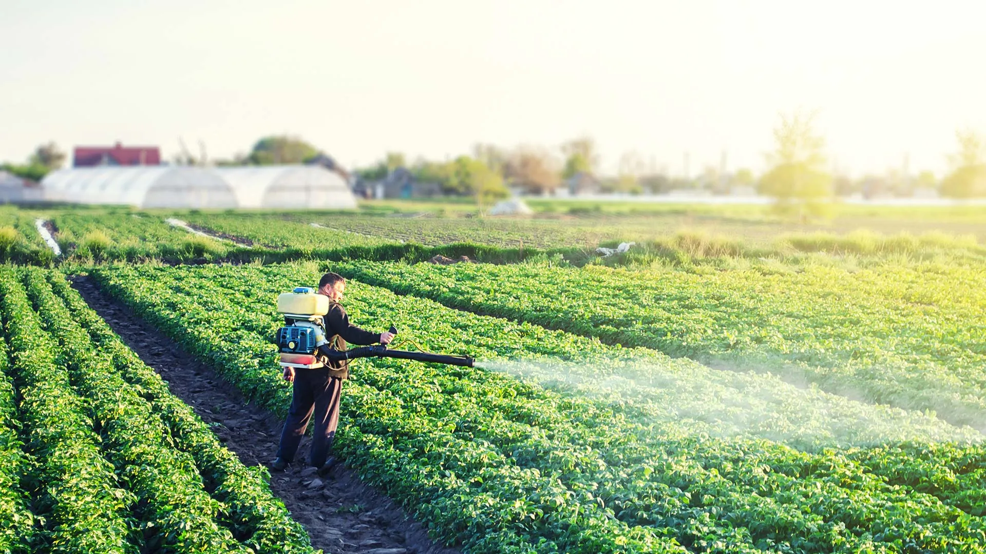 EcoPest ProFume fumigation in the field